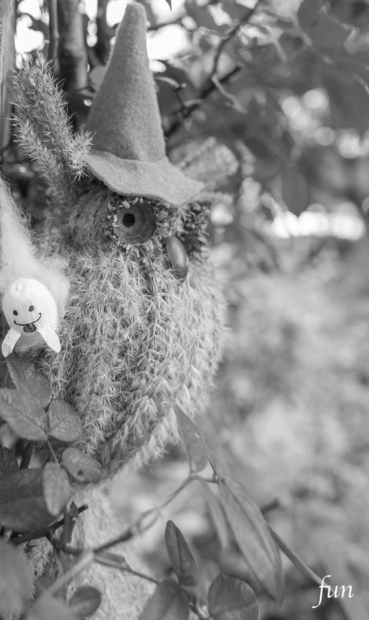 LINEプロフィール背景用ハロウィンの写真画像