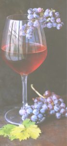 グラスワインとぶどう1