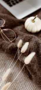 白いかぼちゃと秋の草2