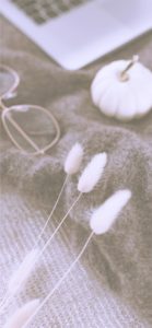 白いかぼちゃと秋の草1