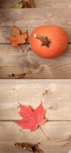 かぼちゃと落葉2