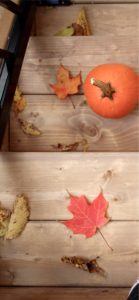 オレンジ色の落葉とかぼちゃ2