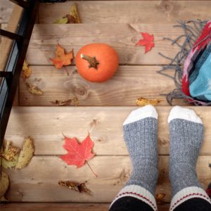 オレンジ色のかぼちゃと落葉1