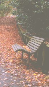 秋のベンチ1