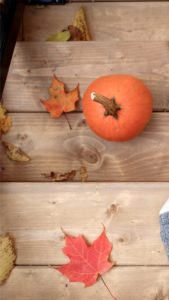オレンジ色の落葉とかぼちゃ1