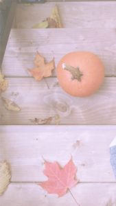 オレンジ色の落葉とかぼちゃ2