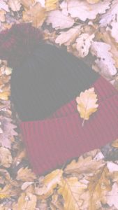 落葉とニット帽1