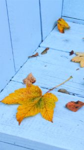 水色の木と落葉1