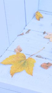 水色の木と落葉2