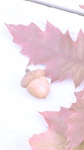 落葉とどんぐり1