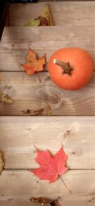 オレンジ色のかぼちゃと落葉1