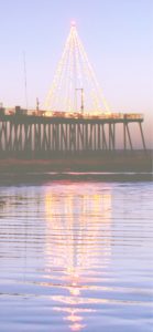 水に映るクリスマスツリー1