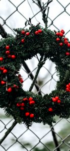 フェンスにかけたクリスマスリース2
