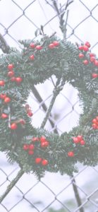 フェンスにかけたクリスマスリース1