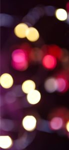 ワインカラーの光1