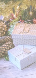 松ぼっくりとプレゼント1