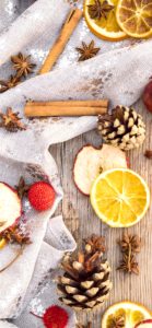 ドライフルーツとシナモンスティック4