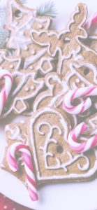 クリスマスクッキー10