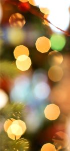 赤と緑のキラキラ1