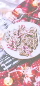 クリスマスのクッキー1