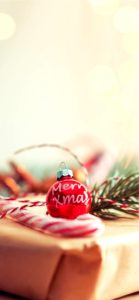 クリスマスプレゼントの飾り2