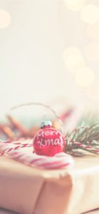 クリスマスプレゼントの飾り1