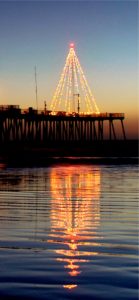 水に映ったクリスマスツリー2