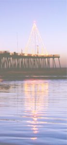 水に映ったクリスマスツリー1