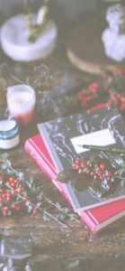 赤い実とノート2