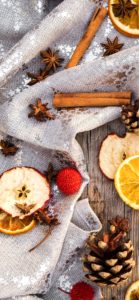 ドライフルーツとシナモン1