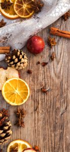 ドライフルーツとまつぼっくり1