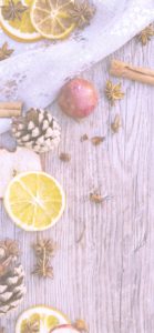 ドライフルーツとまつぼっくり2