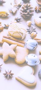 クッキーとシナモンスティック2