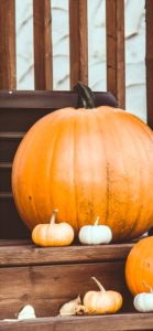 カラフルなかぼちゃ2