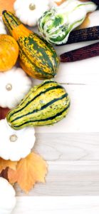 色々なかぼちゃ1