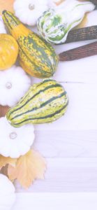 色々なかぼちゃ2