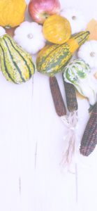 りんごとかぼちゃ2