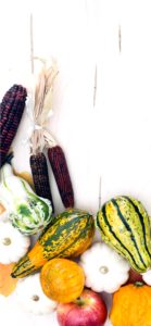 りんごとかぼちゃ3