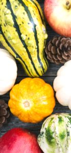 色々なカボチャ3