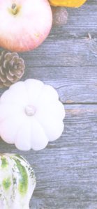 りんごとかぼちゃ5