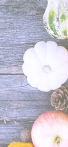 りんごとかぼちゃ7