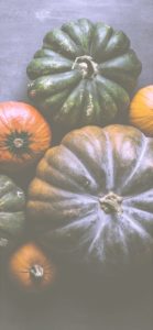 渋い色のかぼちゃ3