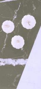 黒い床と白いカボチャ2