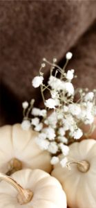 かすみ草と白いカボチャ1