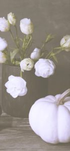 白いバラと白いカボチャ1