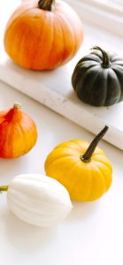 机に並べたかぼちゃ2