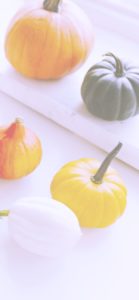 机に並べたかぼちゃ1