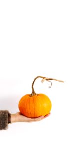 かぼちゃがひとつ2