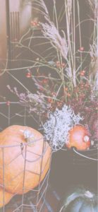 秋の花とかぼちゃ1