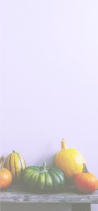 ベンチの上のかぼちゃ2